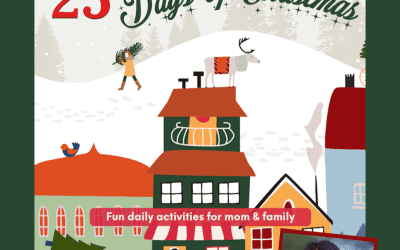 Get the 25 Days of Christmas delivered today!